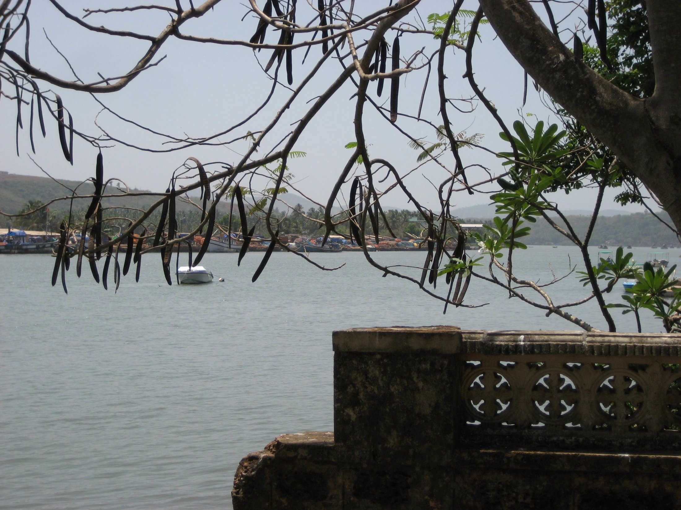Goa: Am Hafen