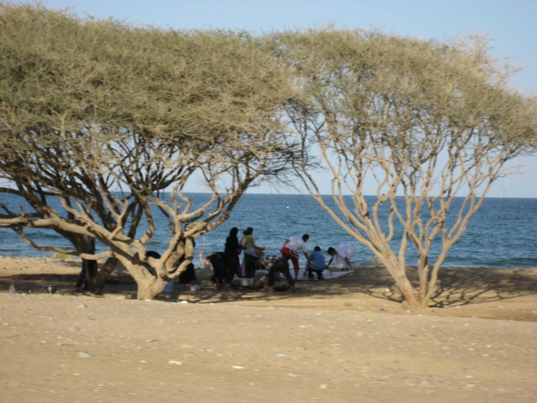 Fujairah: Strandpicknick