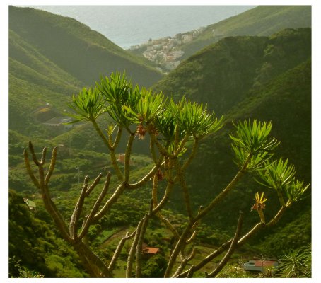 Igueste de San Andrés