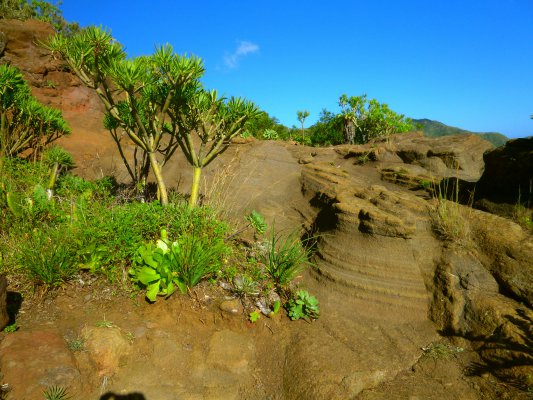 Igueste de San Andrés