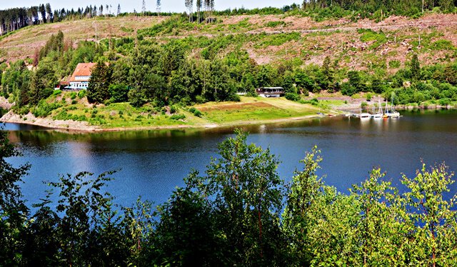 Der Windbeutelkönig am Okerstausee