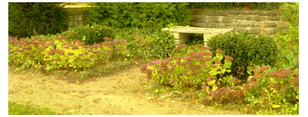 Klostergarten Riddagshausen
