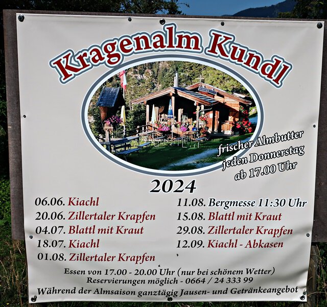 Kragenalm