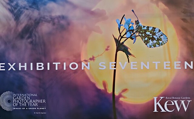 Fotoausstellung IGPOTY 17 