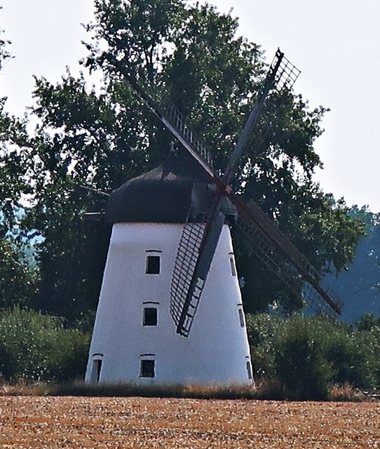 Mühle Halchter