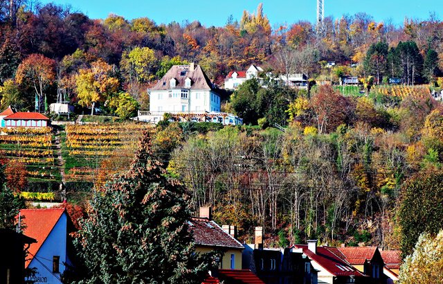 Landesweingut "Kloster Pforta"