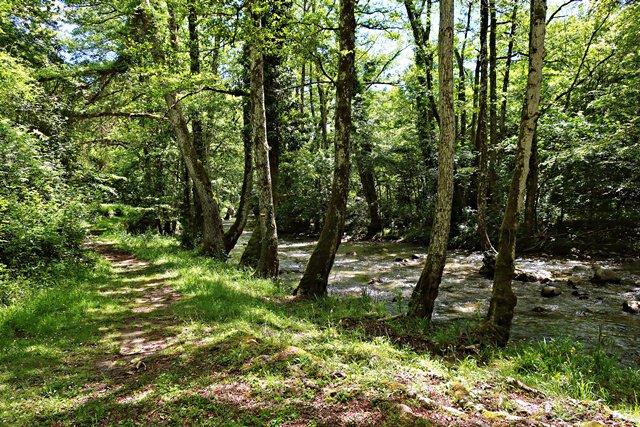 Parco Nazionale del Pollino