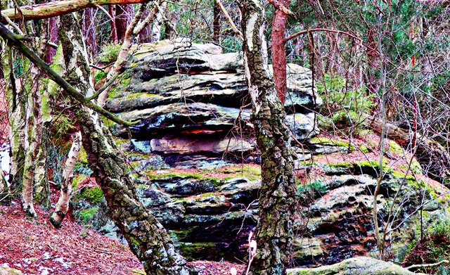 Bodensteiner Klippen