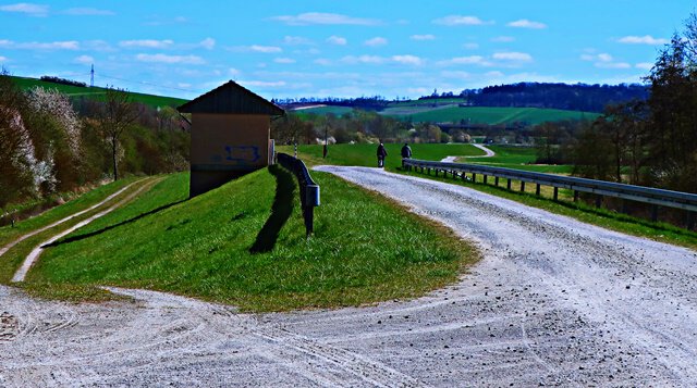 Wanderweg Leinepolder