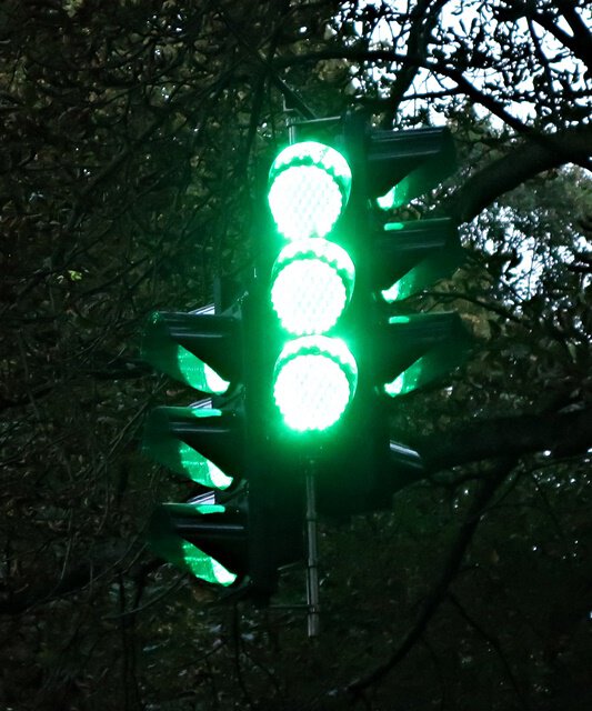 Swarm Bettina Pousstchi Bürgerpark