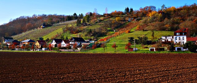 Weinlehrpfad Saale-Unstrut
