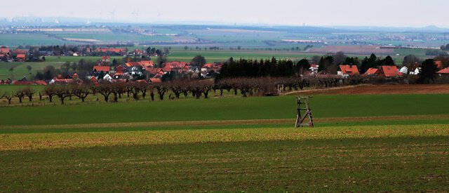 Blick auf die Obstbaumsiedlung bei Evessen