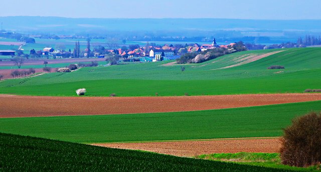 Blick auf Rhoden vom kleinen Fallstein