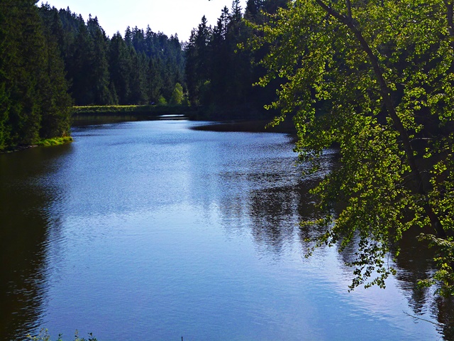 Grumbacher Teich