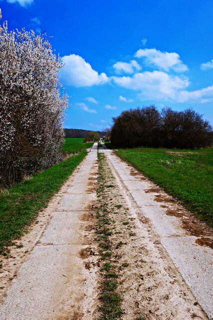 Kolonnenweg oberhalb von Rhoden
