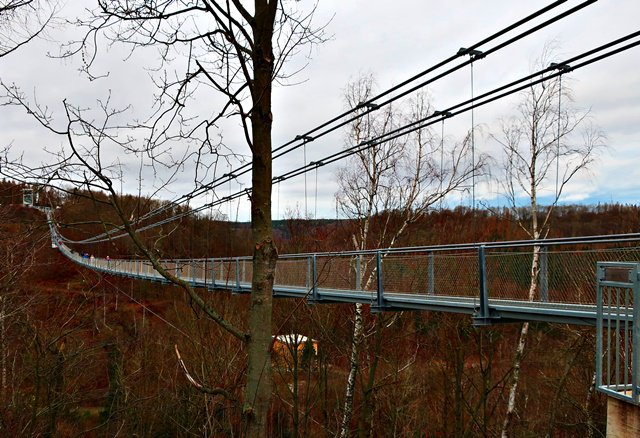 Hängeseilbrücke Rappbodetal