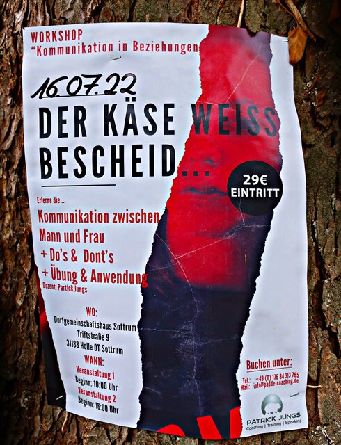 Der Käse weiß Bescheid ..?