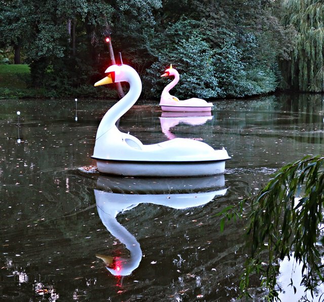 Slow Swan Social Club Alona Rodeh Portikusteich