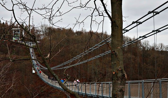 Hängeseilbrücke Rappbodetal