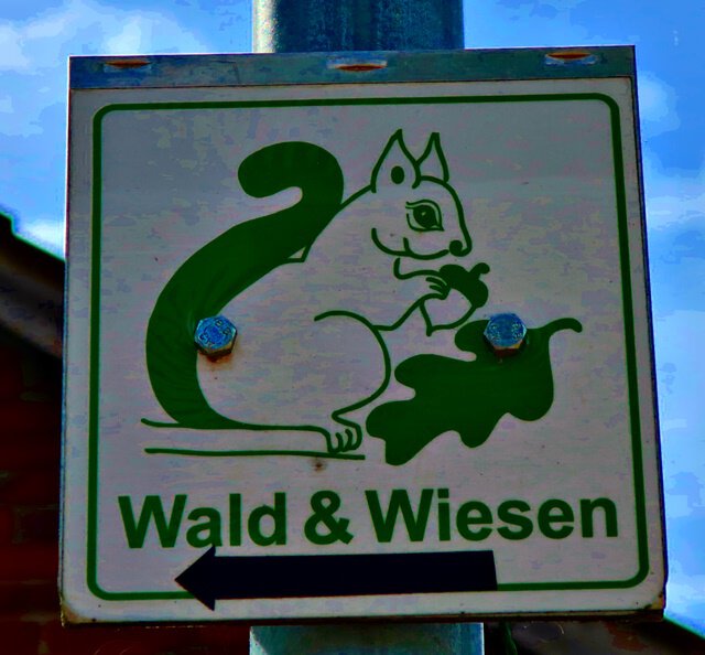 Radtour Wald & Wiesen