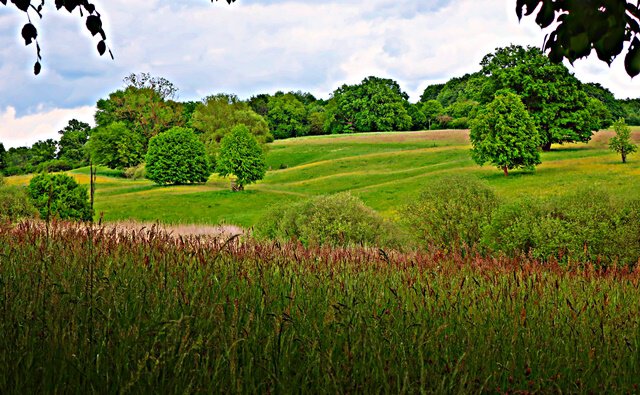 Auf dem Dünaer Rötzelkamm