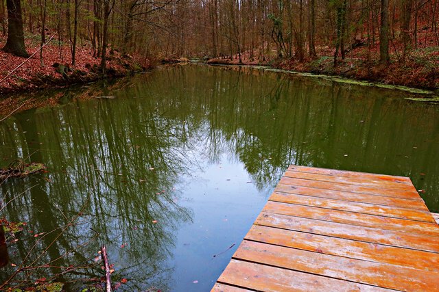 Am Fischteich bei Lechstedt