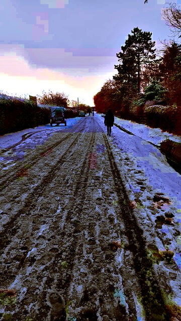 Am Reiterhof bei Lehndorf