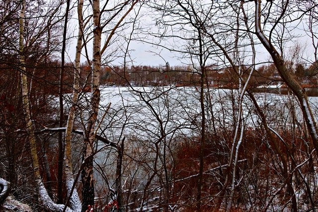 Der Moorhüttenteich