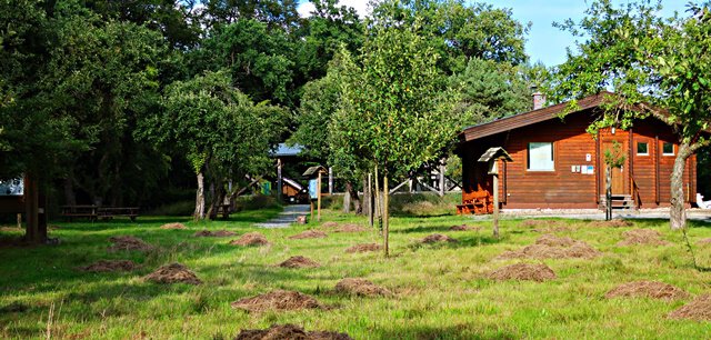 Moorbahn