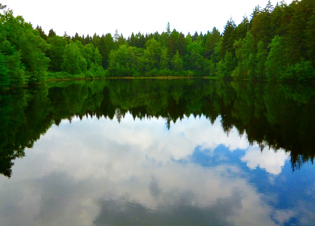 Bergrat-Müller-Teich