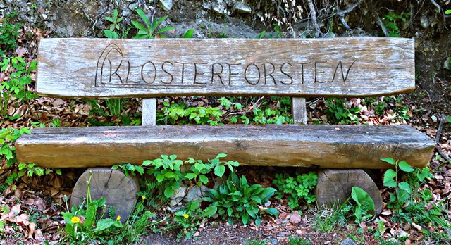 Klosterforsten bei der Winzenburg