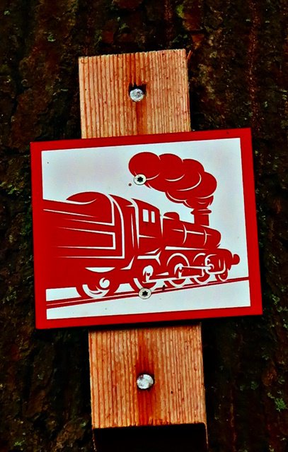 Die Harzer Holzdampflok