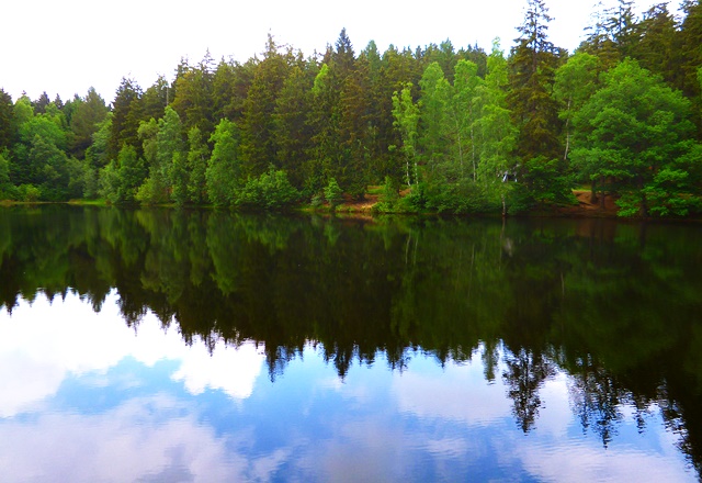 Bergrat-Müller-Teich