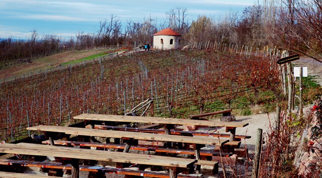 Straußwirtschaft am Geiseltalsee