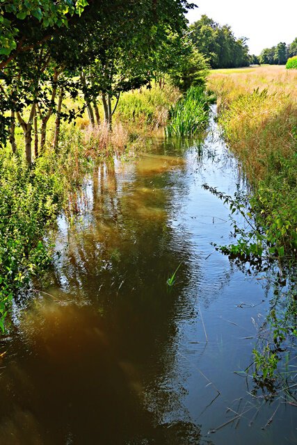 Angeschwollener Pisserbach