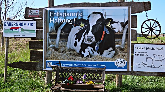 Wohl das beste Eis in Düna