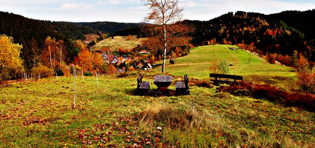 Blick vom Gallenberg
