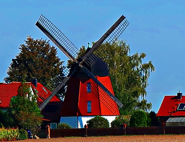 Windmühle in Meine