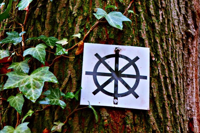 Wanderzeichen Mühlenwanderweg