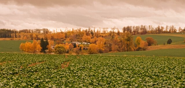 Blick auf Breitenstein