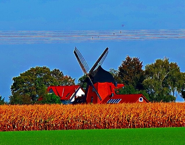 Windmühle Meine