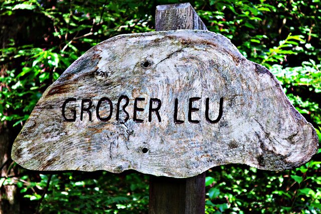 Großer Leu