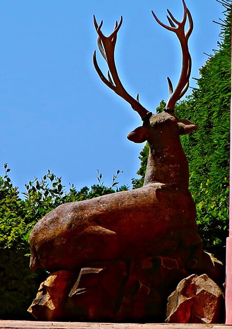 Hirsche am Fasanenschlösschen