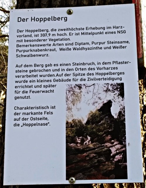 Der Hoppelberg bei Langenstein