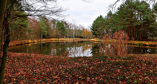 NABU-Projekt an der Allerniederung