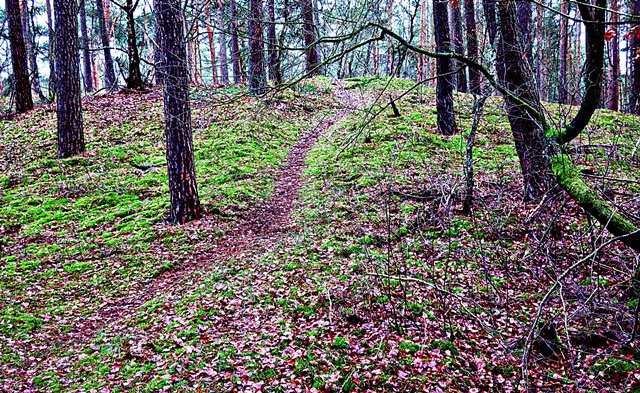 In den Osterloher Alpen