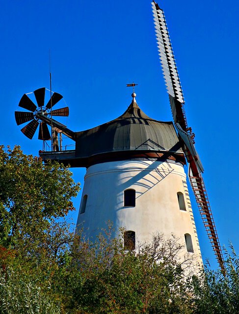 Windmühle Wendhausen