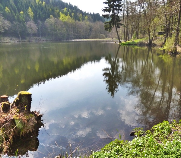 Maliniusteich