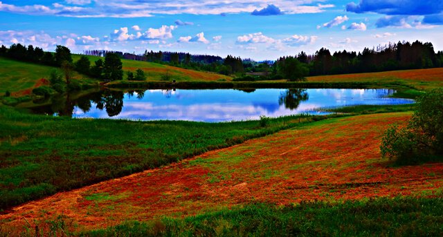 Der Nassenwieser Teich