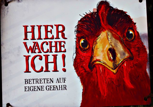 Wohldenberg